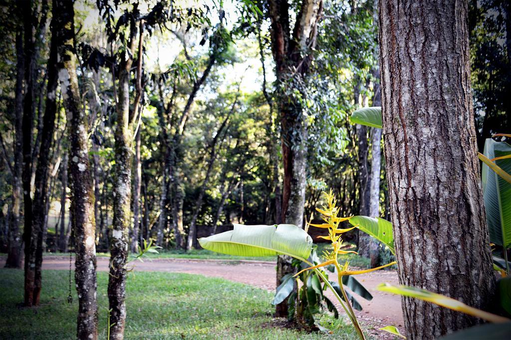 Cabanas Las Termas Villa โอเบรา ภายนอก รูปภาพ
